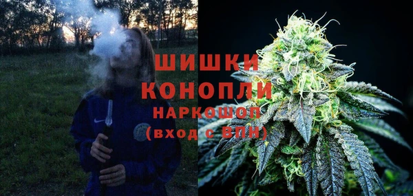spice Бородино