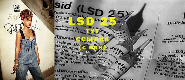 spice Бородино