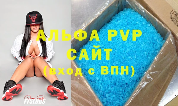 spice Бородино